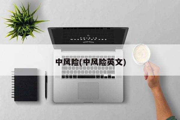 中风险(中风险英文)