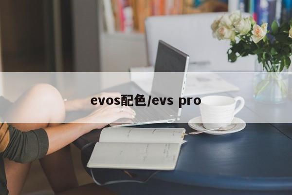 evos配色/evs pro