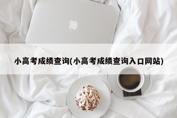 小高考成绩查询(小高考成绩查询入口网站)