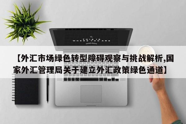 【外汇市场绿色转型障碍观察与挑战解析,国家外汇管理局关于建立外汇政策绿色通道】