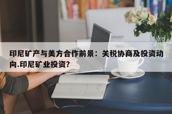 印尼矿产与美方合作前景:关税协商及投资动向.印尼矿业投资?