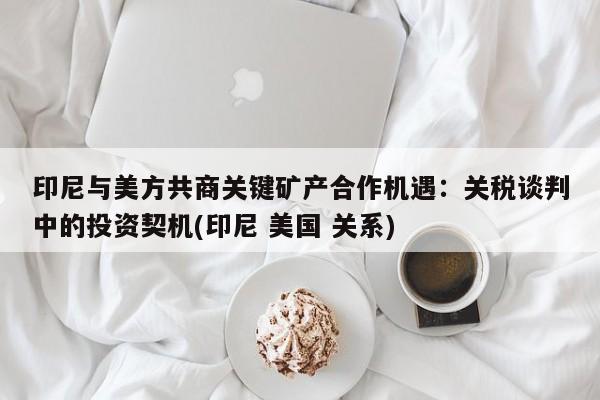印尼与美方共商关键矿产合作机遇:关税谈判中的投资契机(印尼 美国 关系)