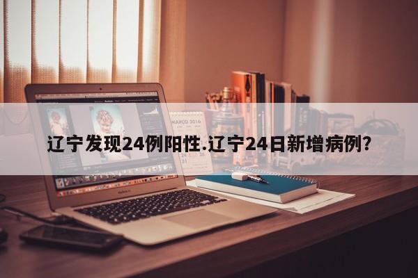 辽宁发现24例阳性.辽宁24日新增病例?