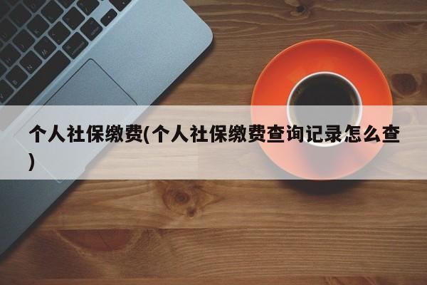 个人社保缴费(个人社保缴费查询记录怎么查)