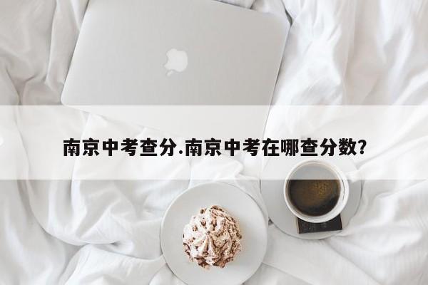 南京中考查分.南京中考在哪查分数?