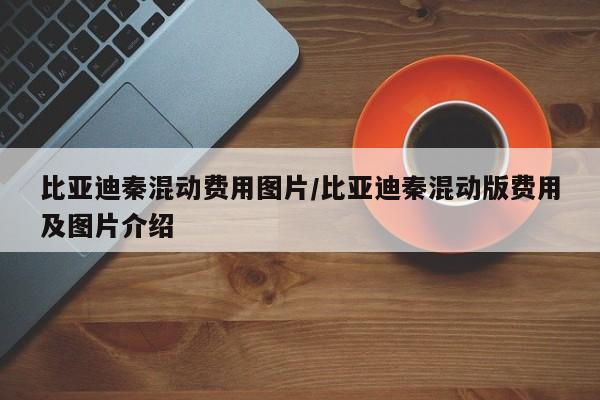 比亚迪秦混动费用图片/比亚迪秦混动版费用及图片介绍
